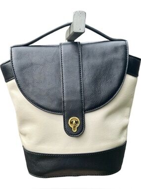 Fossil Clara Leather Colorblock Bucket Bag Handbag – Black & Cream